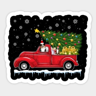 Red Truck pick up Miniature American Shepherd Christmas  lover gift T-Shirt Sticker